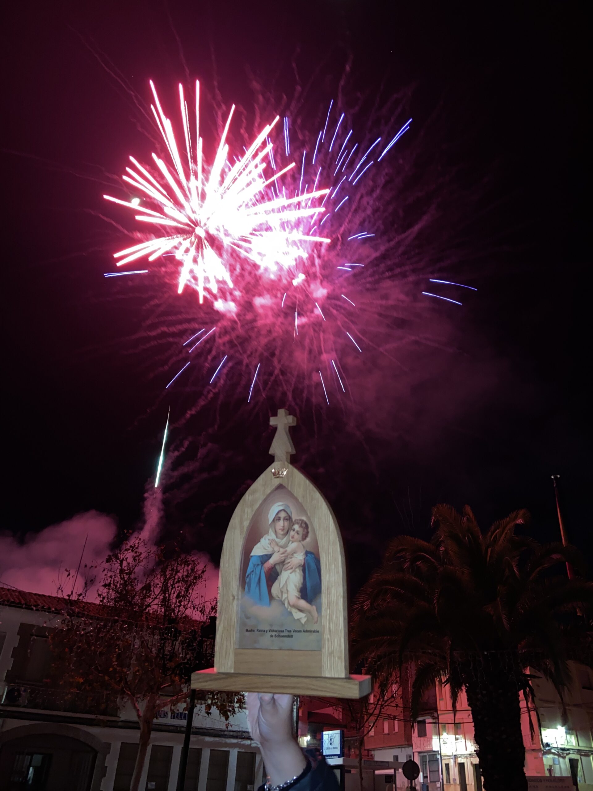 virgen_peregrina_en_fiestas